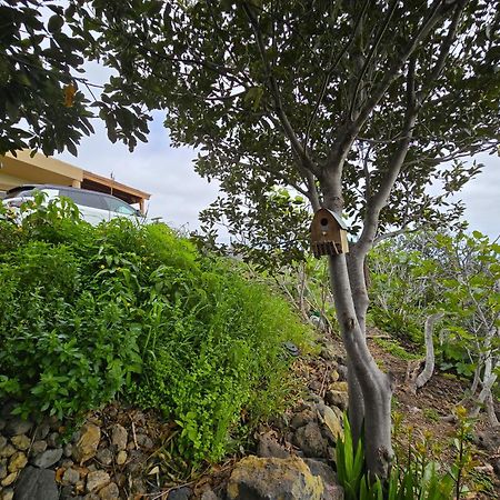 La Finca De La Bicicleta Breña Alta Exterior foto